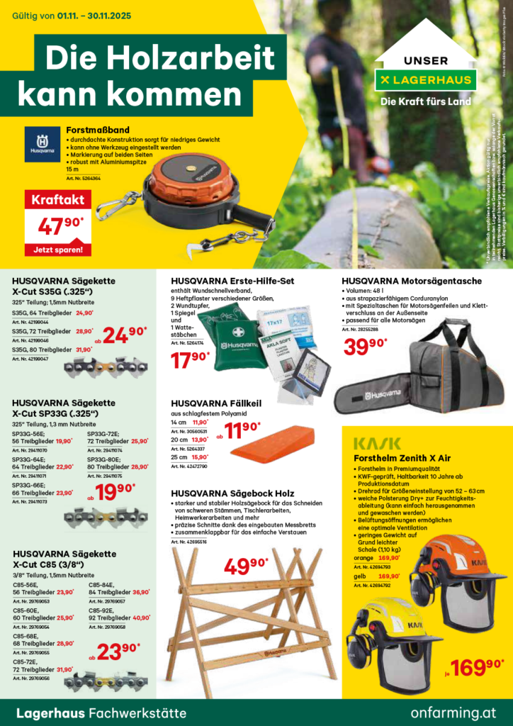 Titelbild Forst Aktionen im Herbst 2025